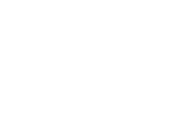 The Visa Clinic